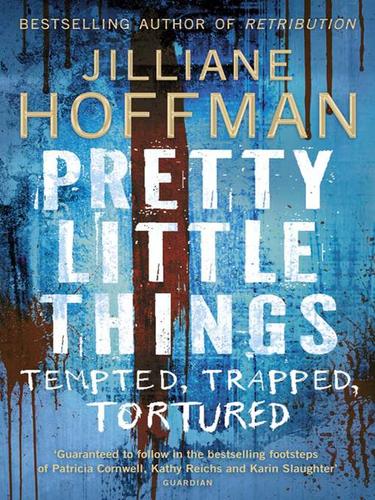 Book cover for Pretty Little Things
