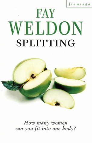Book cover for Splitting